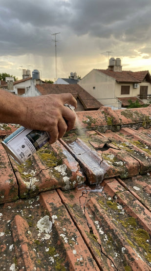 Techo de Tejas (Colonial y Francesa)